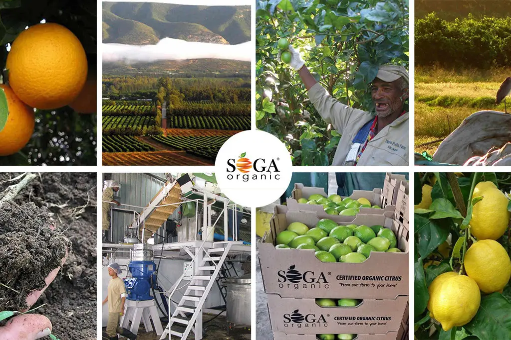 SOGA Growers