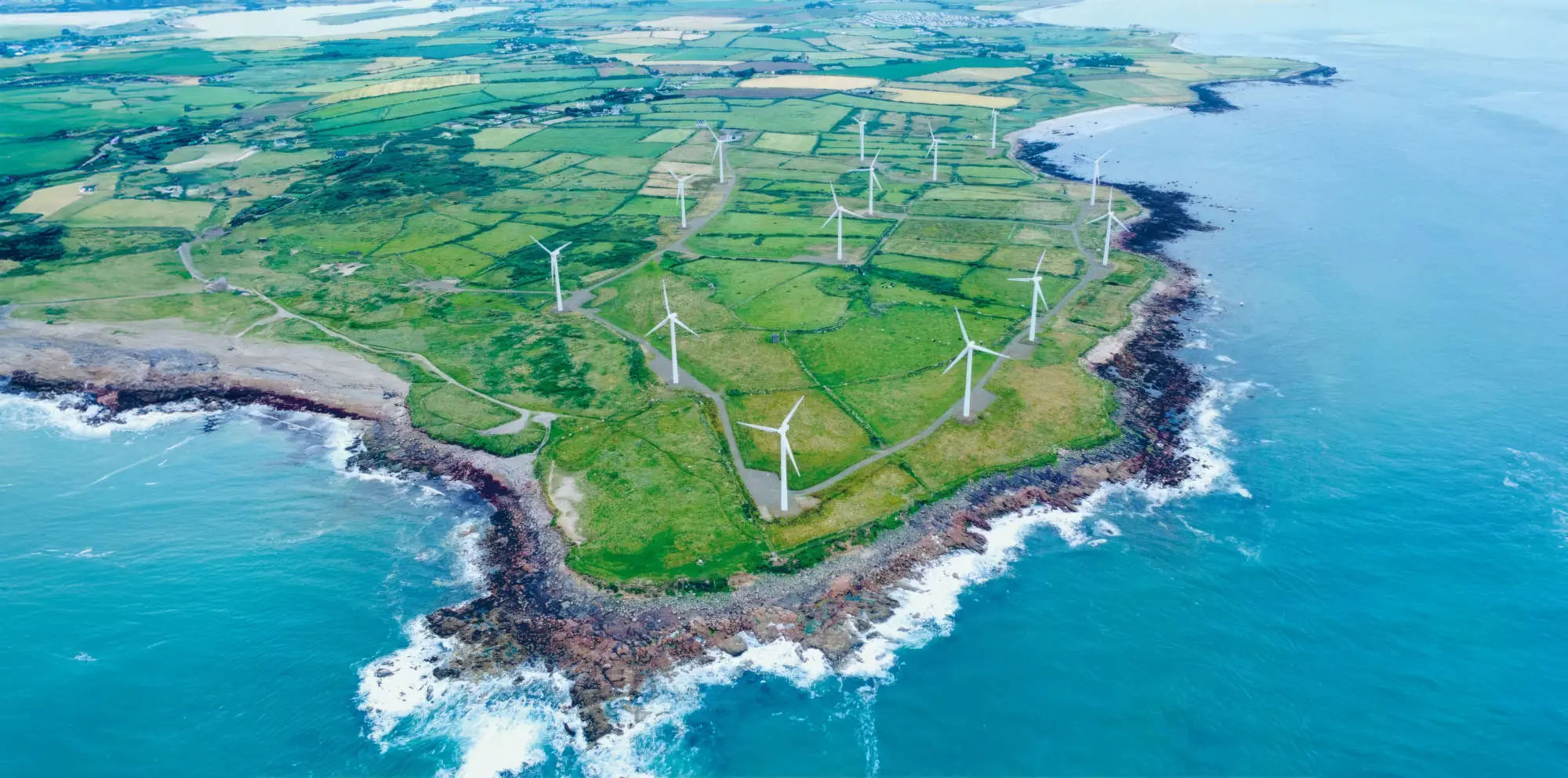 GO! Organic Products